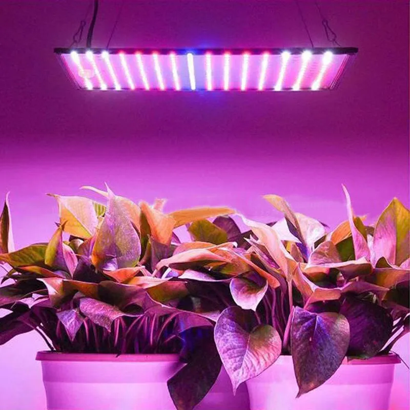 Лампы для комнатных цветов:  для растений, как правильно .