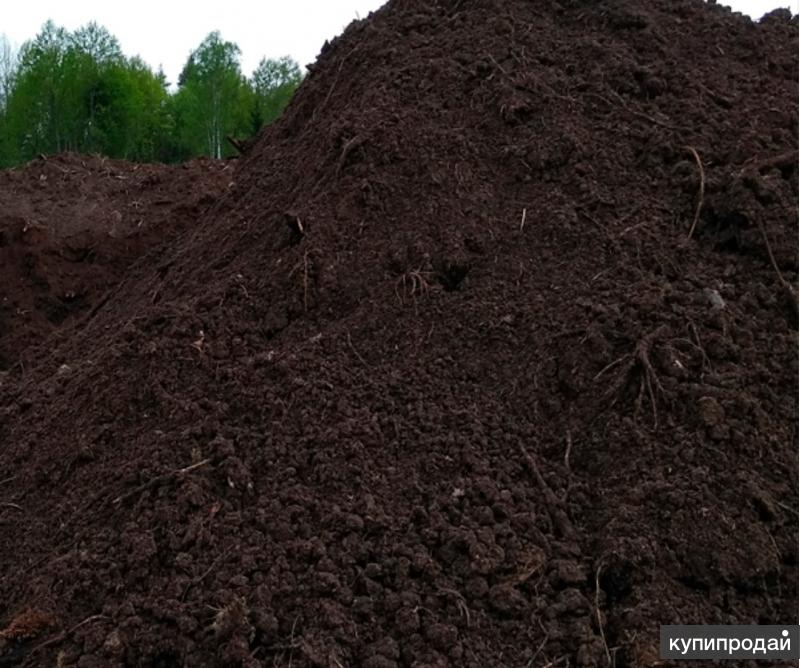 Перегной в почве. Грунт растительный. Грунт растительный плодородный. Завоз растительного грунта. Растительный грунт (растительно-земельная смесь).