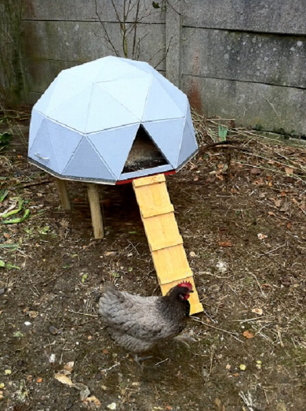 Geodesic Dome Chicken Coop Plans