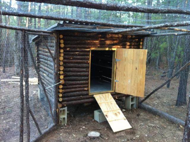 Log Cabin Chicken Coop Plans