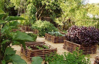 Декоративное оформление огородных грядок Декоративное оформление огородных грядок