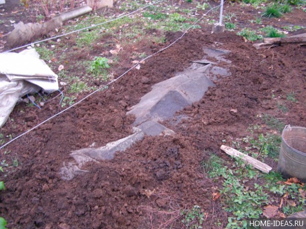 Что сажают под зиму на огороде?