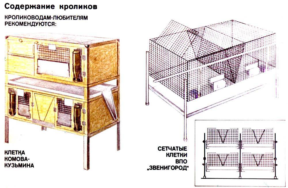 Клетка для кролика своими руками чертежи с размерами из дерева