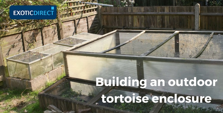 three different tortoise enclosures