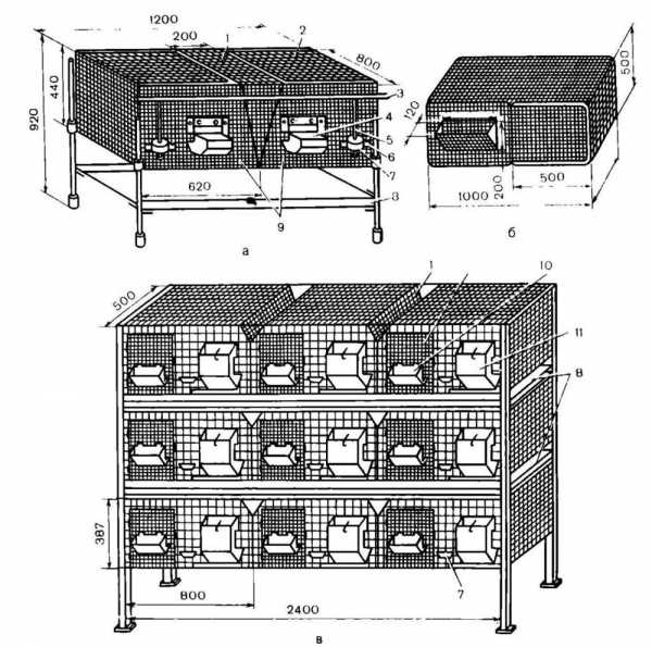 Схема как построить клетку для кроликов