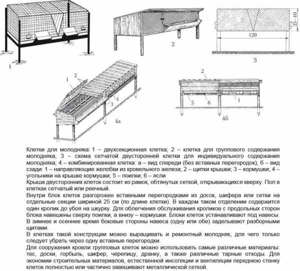 Схема как построить клетку для кроликов