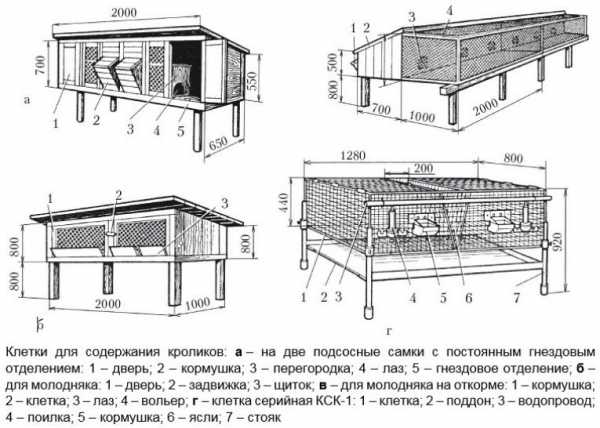 Схема как построить клетку для кроликов